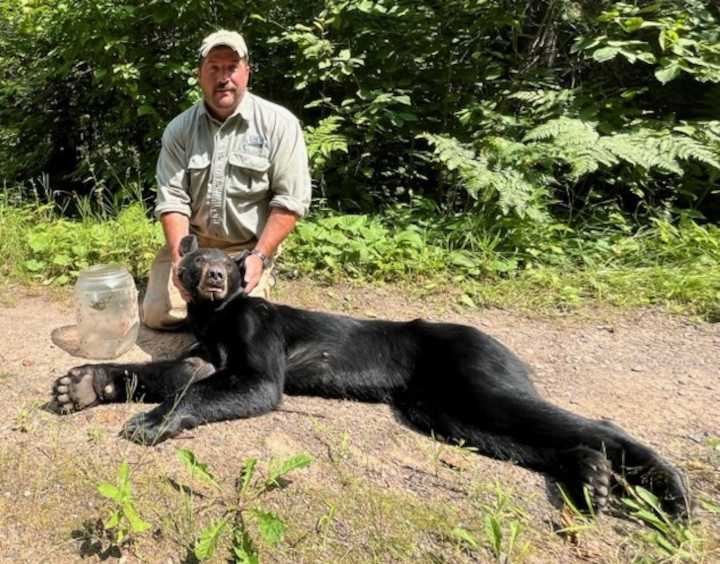 Wildlife officials track bear for 50 miles to remove jar from its head