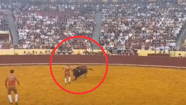 Murió joven torero tras ser embestido en plena corrida; video causó terror en redes sociales