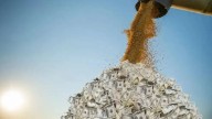 Sector agropecuario: de una inversión, "el 20% es capital propio y 70