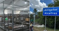 Cubano que estuvo detenido en Alligator Alcatraz suspende huelga de hambre tras 17 días