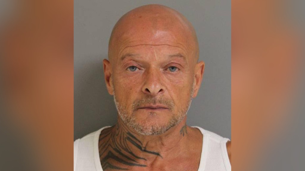 Convicted sex offender gets 15 years for LI rape