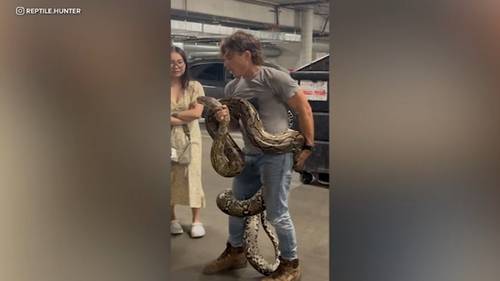 20-foot python found abandoned inside LA apartment complex dumpster