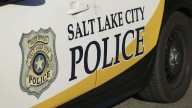 1 arrested in stabbing at Pioneer Park that critically injured man