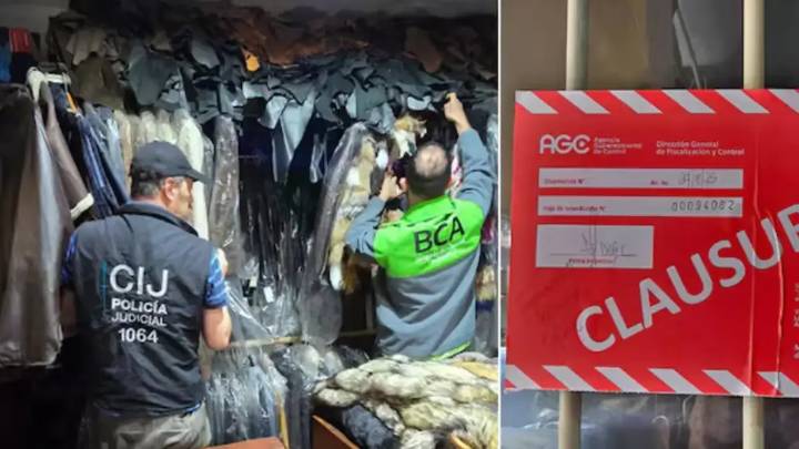 Hombre de 85 años vendía prendas de piel de animales en vía de extinción en redes sociales: fue detenido en Argentina