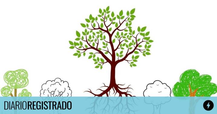 Qué revela sobre tu personalidad la forma que tengas de dibujar un árbol según la psicología