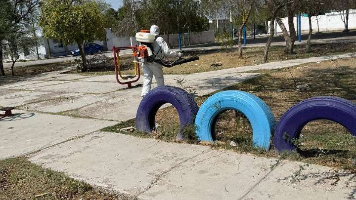 Refuerzan acciones contra garrapatas y mosquitos transmisores del dengue
