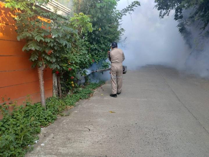 SAN LUIS POTOSÍ REDUCE CASOS DE DENGUE EN 2025