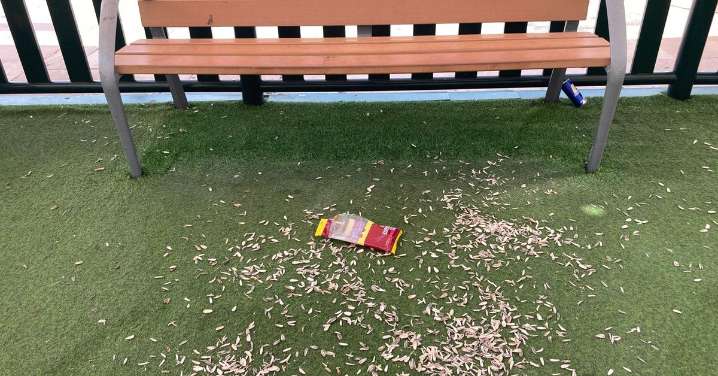Los niños no pueden jugar: el parque de la Concordia, lleno de basura