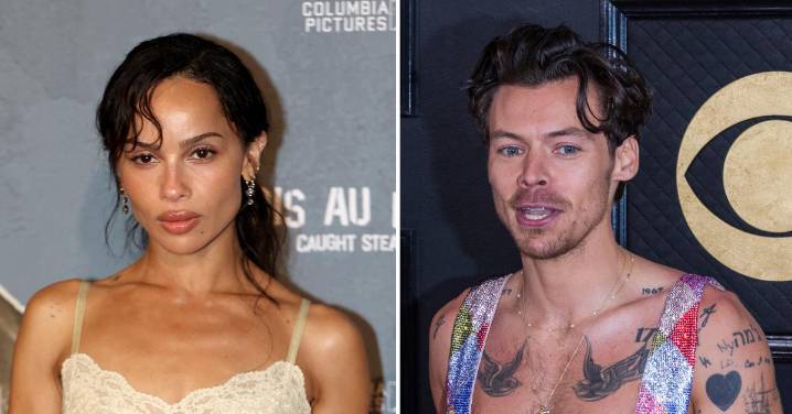 New Couple Alert? Zoë Kravitz and Harry Styles Walk Arm-in-Arm During Romantic Stroll Through Rome: Watch