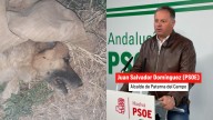 Envenenan al perro de un alcalde de Huelva tras suspender las vaquillas: "¿Hasta aquí vais a llegar?"