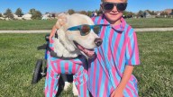How A Nevada Rescue Dog’s Medical Journey Turned Him Into Daily Comfort For His Human Brother