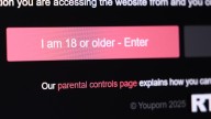 New Michigan legislation aims to shield children from online adult content with age verification