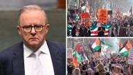 ‘How many children’: ABC host’s brutal jab