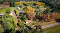 Un destino rural de Buenos Aires con un millón de árboles: la escapada ideal para relajarse