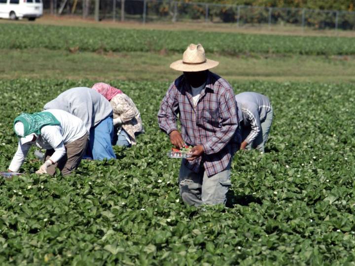 Temporary foreign workers may switch jobs