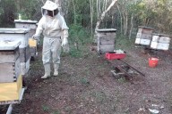 Apicultura en Huhí atraviesa momento alentador; la miel alcanza los 35 por kilo