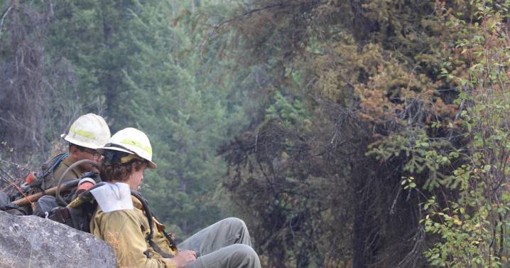 No evacuations or closures for wildfire near Arden