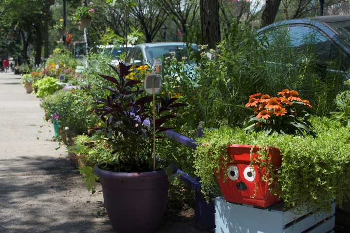 This Crown Heights block was named the greenest in Brooklyn