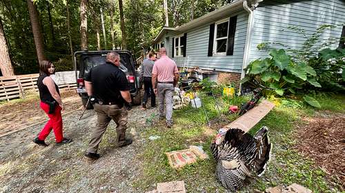Pittsboro death investigation linked to case in Kentucky, Chatham County Sheriff's Office says