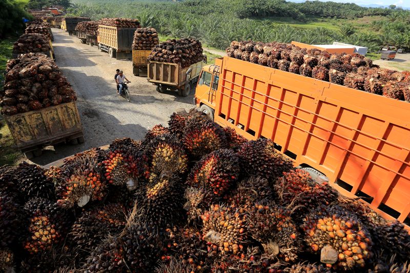Indonesia says US agrees tariff exemption for its palm oil, cocoa, rubber