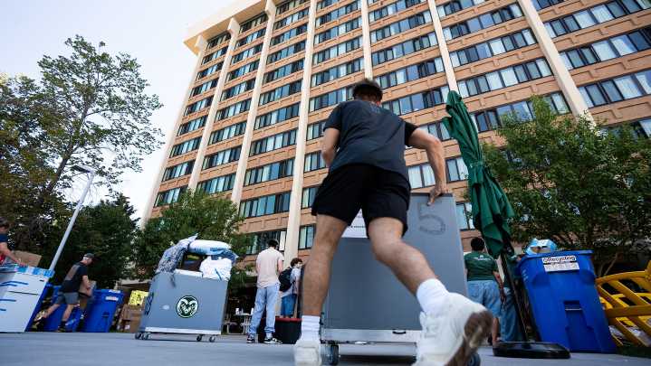 CSU students move into residence halls with baskets, boxes and more