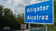 Feds stop sending detainees to Florida’s ‘Alligator Alcatraz’