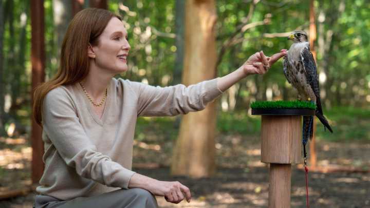 The best TV shows to binge in 2025