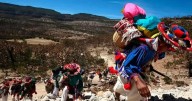 Se trabaja para garantizar la protección de Ruta Wixárika