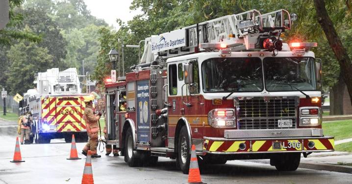 Dog killed in Burlington house fire