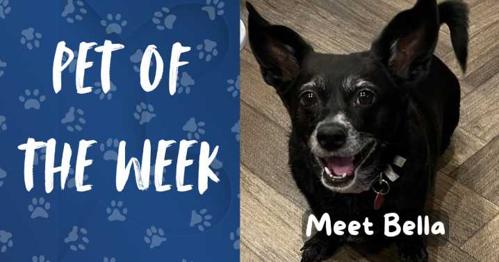 Pet of the Week: Meet Bella!