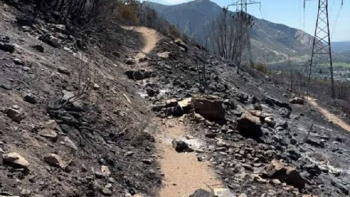 Willard Peak Fire containment increases to 56%; crews gain ground on other Utah fires