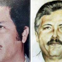 Mexican drug lord Zambada to plead guilty in US court