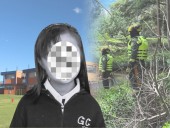 Caso Valeria Afanador: Posibles omisiones del Gimnasio Los Laureles, según su Manual de Convivencia