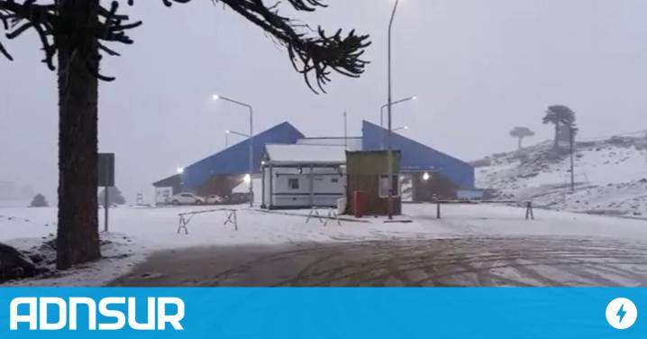 Un ex diputado patagónico fue demorado en Chile por llevar municiones ocultas