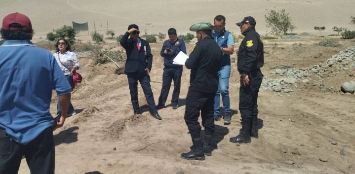 Municipalidad de Pocollay retira cerca de 400 árboles plantados en las faldas del cerro Arunta