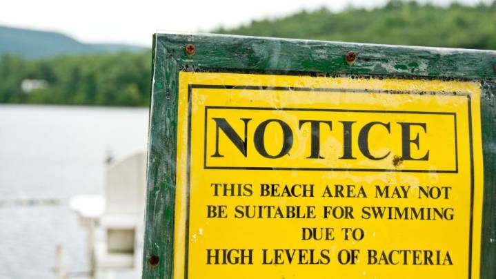4 Okaloosa County parks issued water quality advisories