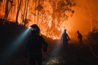 Última hora de los incendios en España, en directo | Estabilizado el incendio de Jarilla tras quemar 17.300 hectáreas en 10 días