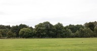 Woman dies in tragedy after being struck by falling branch in UK park