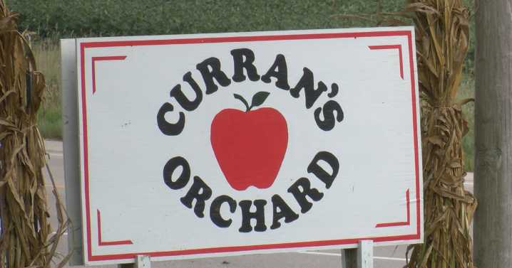 New treats at Curran's Orchard in Rockford keep visitors returning