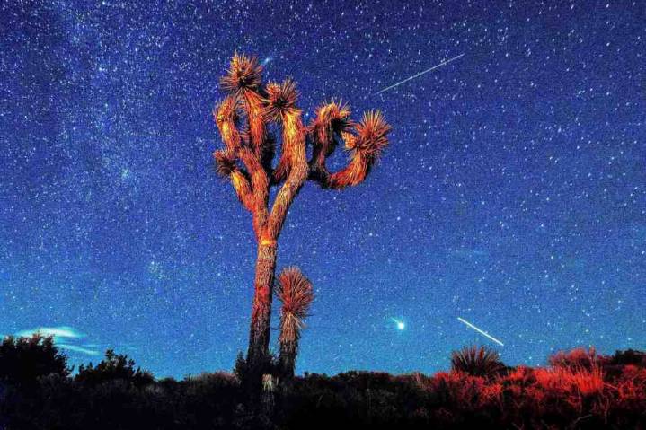 Perseid meteor shower: How and when to watch