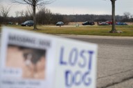 Search on in central Pa. for a dog with pretzel jar stuck on head