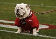 BetMGM bonus code POSTBET for $1,500 in bonus bets for the 2025 college football season