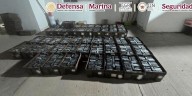 EN SONORA, AUTORIDADES ASEGURAN UN CARGAMENTO DE MÁS DE MIL PAQUETES CON APARENTE COCAÍNA