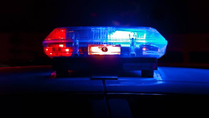 2 found dead in Dunedin home in suspected murder