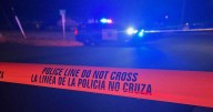 Galt police deploy bean bag rounds, K9 against assault suspect