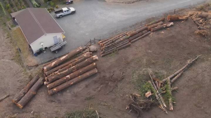 Milton residents worry as new projects reshape city