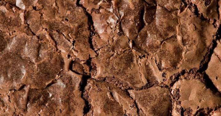 Is There Such a Thing as Fentanyl Brownies?