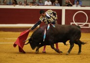 Azpeitia e Illunbe cumplen con las expectativas de la afición taurina