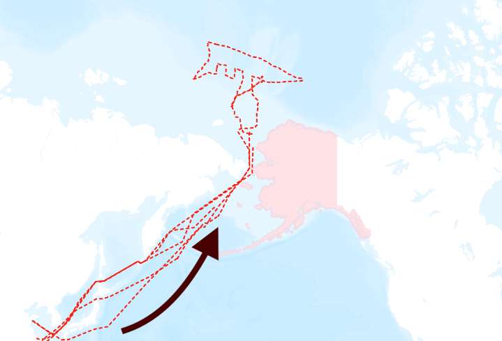 Map Shows Where Chinese Ships Have Been Detected off Alaska