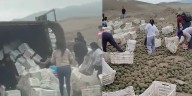 Camión de palta se vuelca en Panamericana Sur, vecinos recogen la carga y redes explotan: “Paltean”